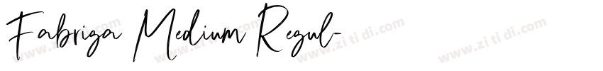 Fabriga Medium Regul字体转换 Fabriga Medium Regul字体转换